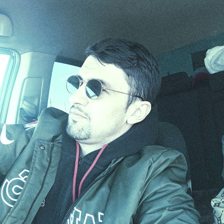 ���� 51341929 ������� Wolf, 31 ���, ���� ���������� � ������