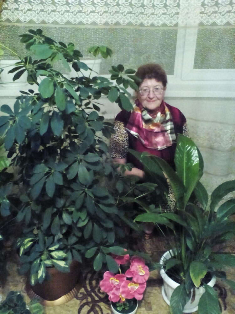 ���������� ���������, ���� ������� ������, 74 ����, ������������ ��� ���������