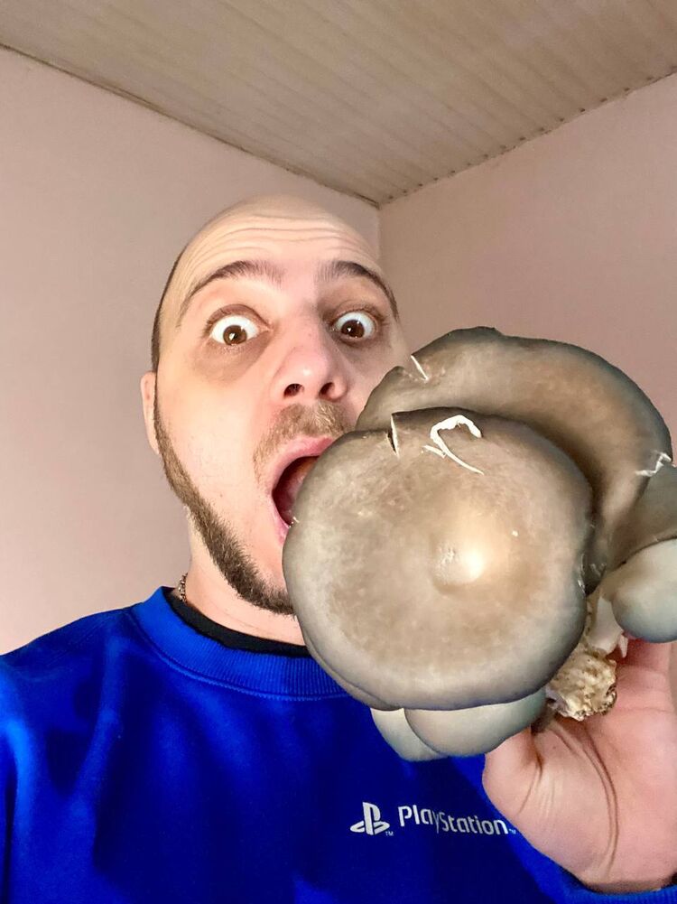 ���� 40413119 ������� ������, 36 ���, ���� ���������� � �������