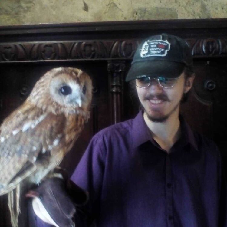 ���� 17328099 ������� ����, 29 ���, ���� ���������� � ��������