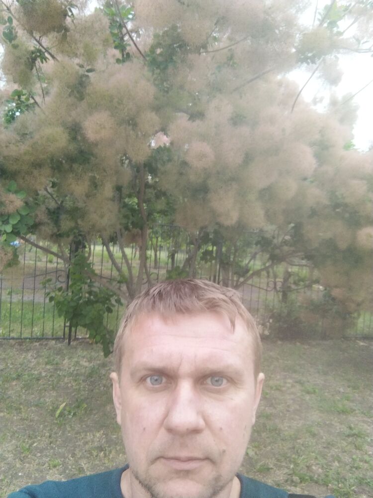 43453159  , 42 ,    