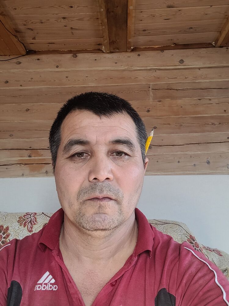  31099229  , 39 ,    -