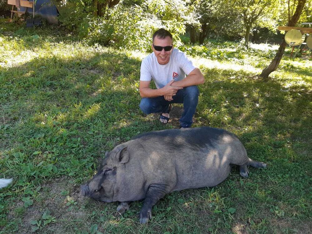 ���������� ������������, ���� ������� ����, 46 ���, ������������ ��� ������, ����� � ���������, c�������� ���������