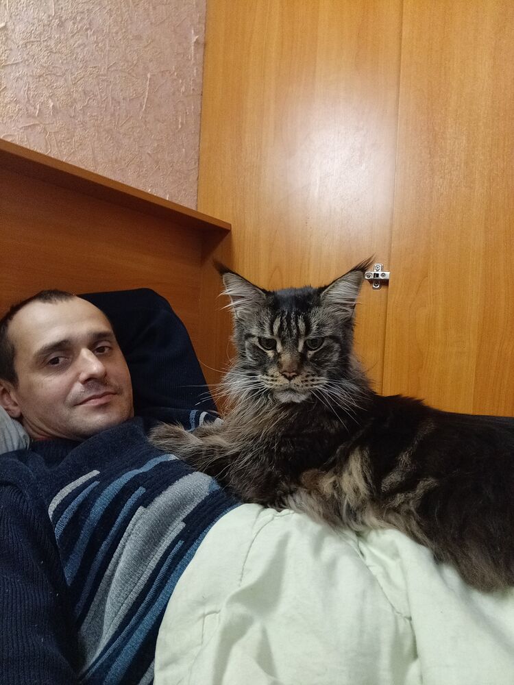 ���� 55654359 ������� �����, 41 ���, ���� ���������� � �����-����������