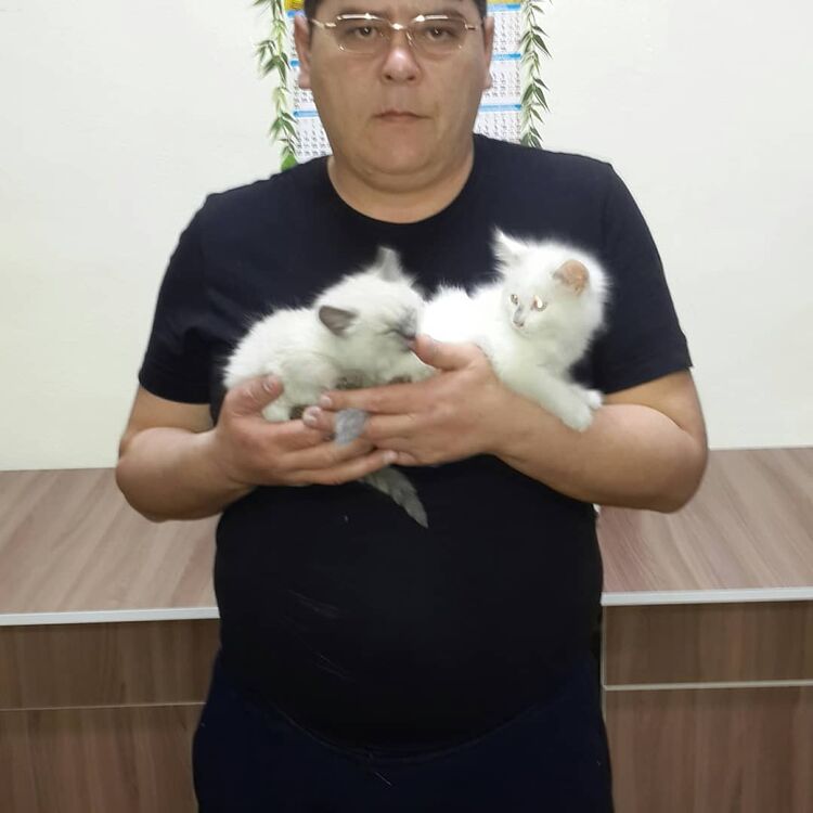  ,   , 43 ,   ,   , c , 