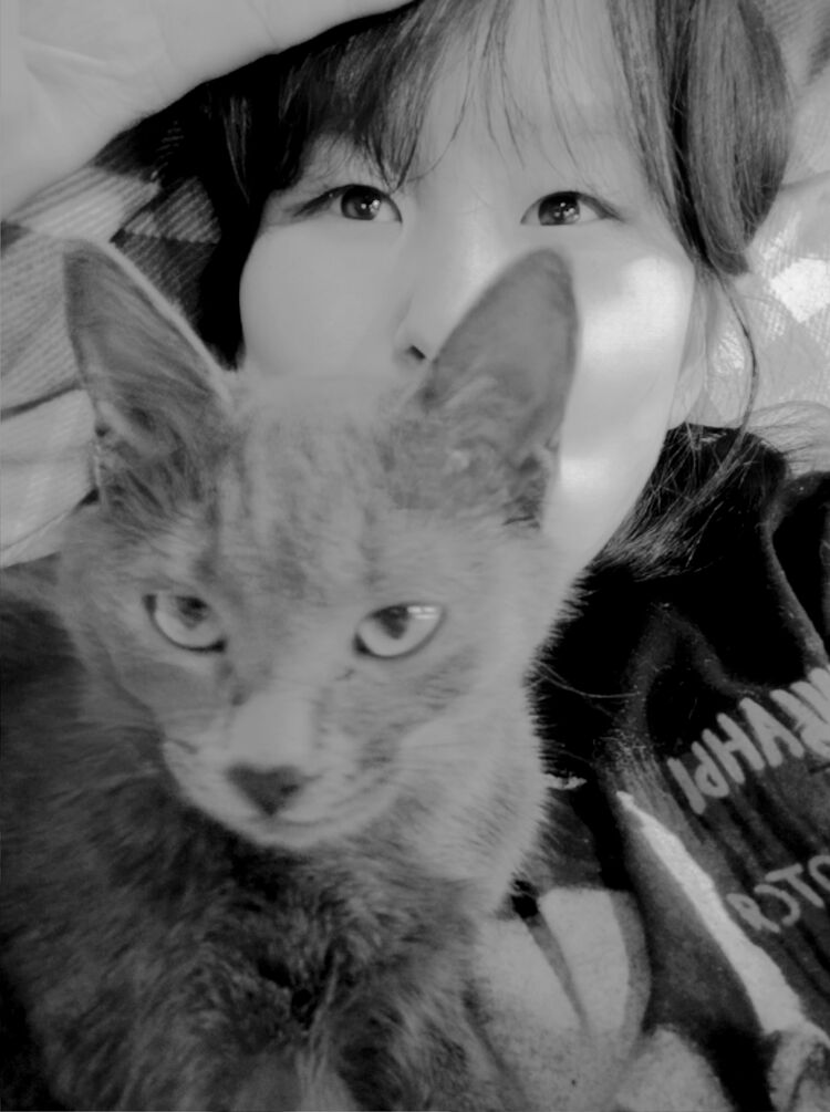 ���� 56302429 ������� ���������, 21 ���, ���� ���������� � �������