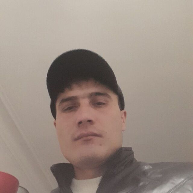  49490649  , 33 ,    -