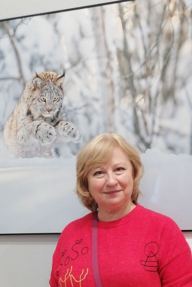 ���� 56117979 ������� ����, 57 ���, ���� ���������� � ������