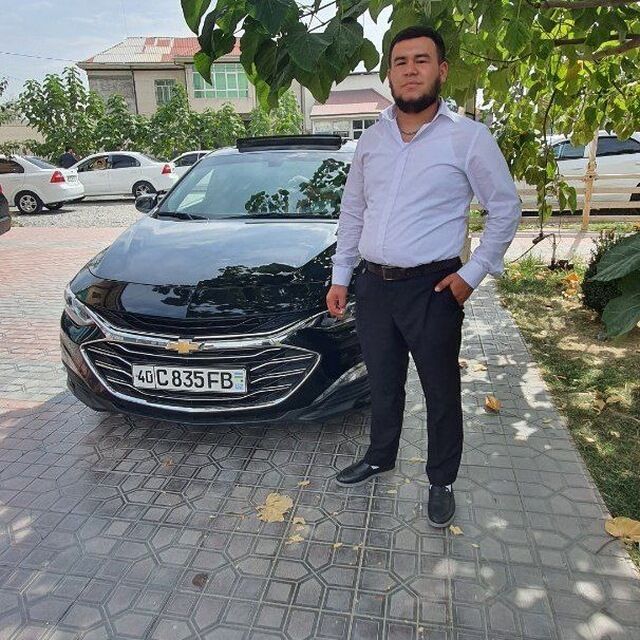 ���� 56053079 ����� Temur, 25 ���, ���� ���������� � ��������