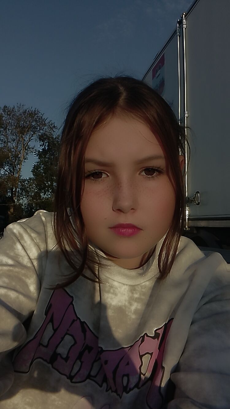  53520279  , 20 ,    -