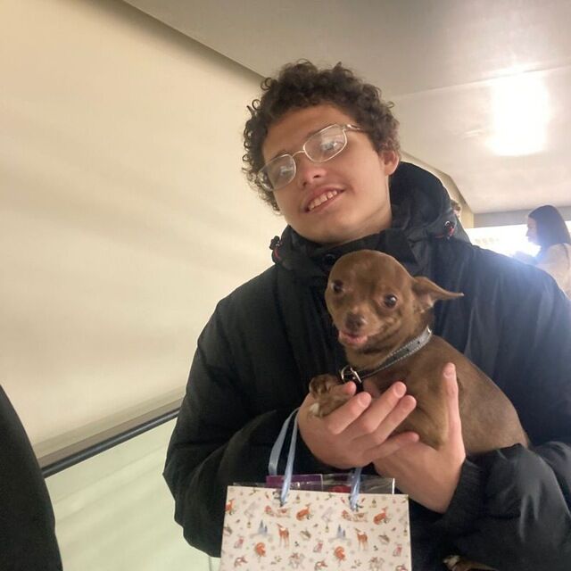 ���� 56404119 ����� �������, 19 ���, ���� ���������� � ������