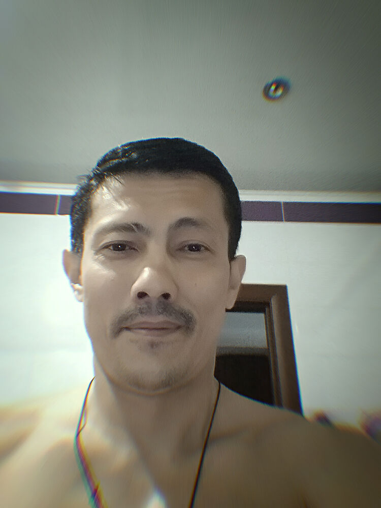  ,   Timur, 40 ,   ,   , c 