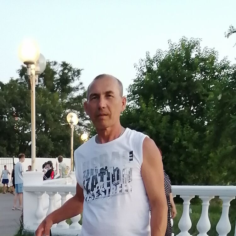  36577589  , 60 ,    