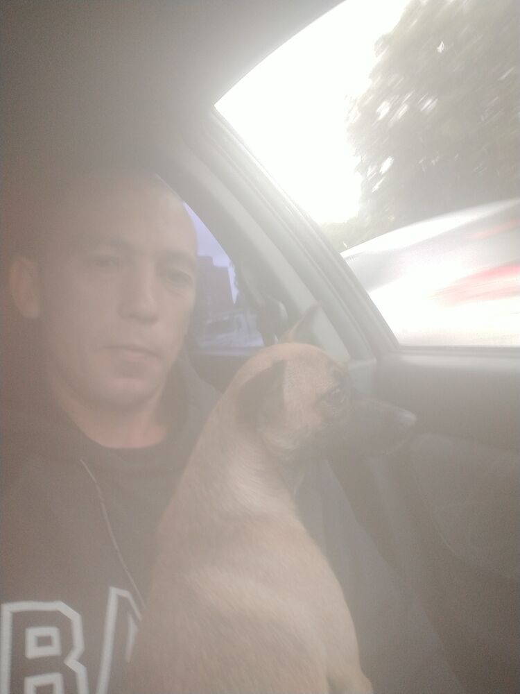 ���� 27380729 ������� ���������, 42 ����, ���� ���������� � ������