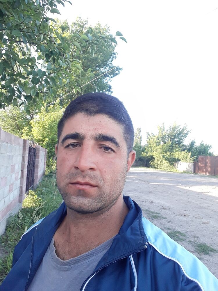  20045619  , 37 ,    