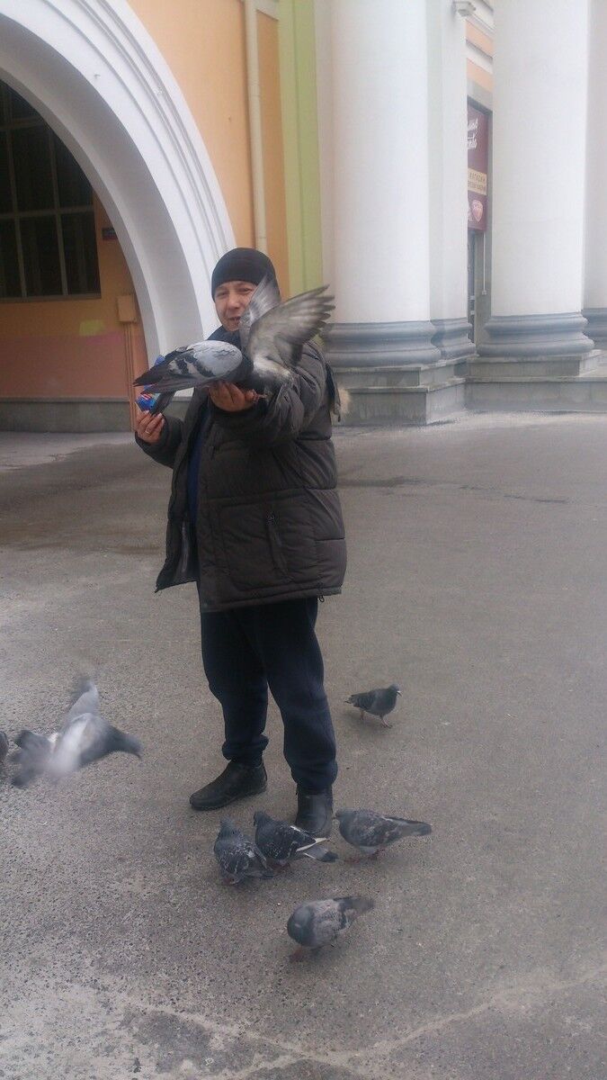 ���������� ���������, ���� ������� �����, 48 ���, ������������ ��� ������, ����� � ���������, c�������� ���������