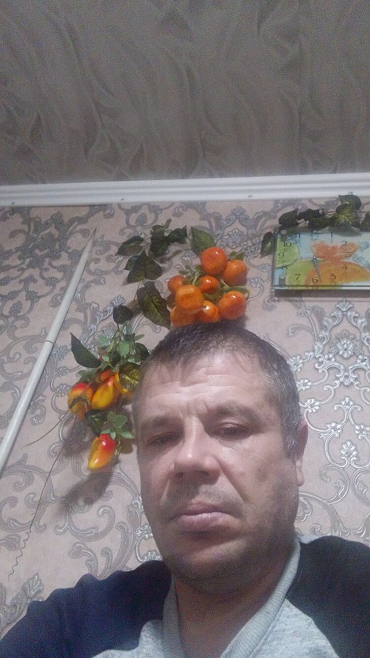  40685049  , 41 ,    