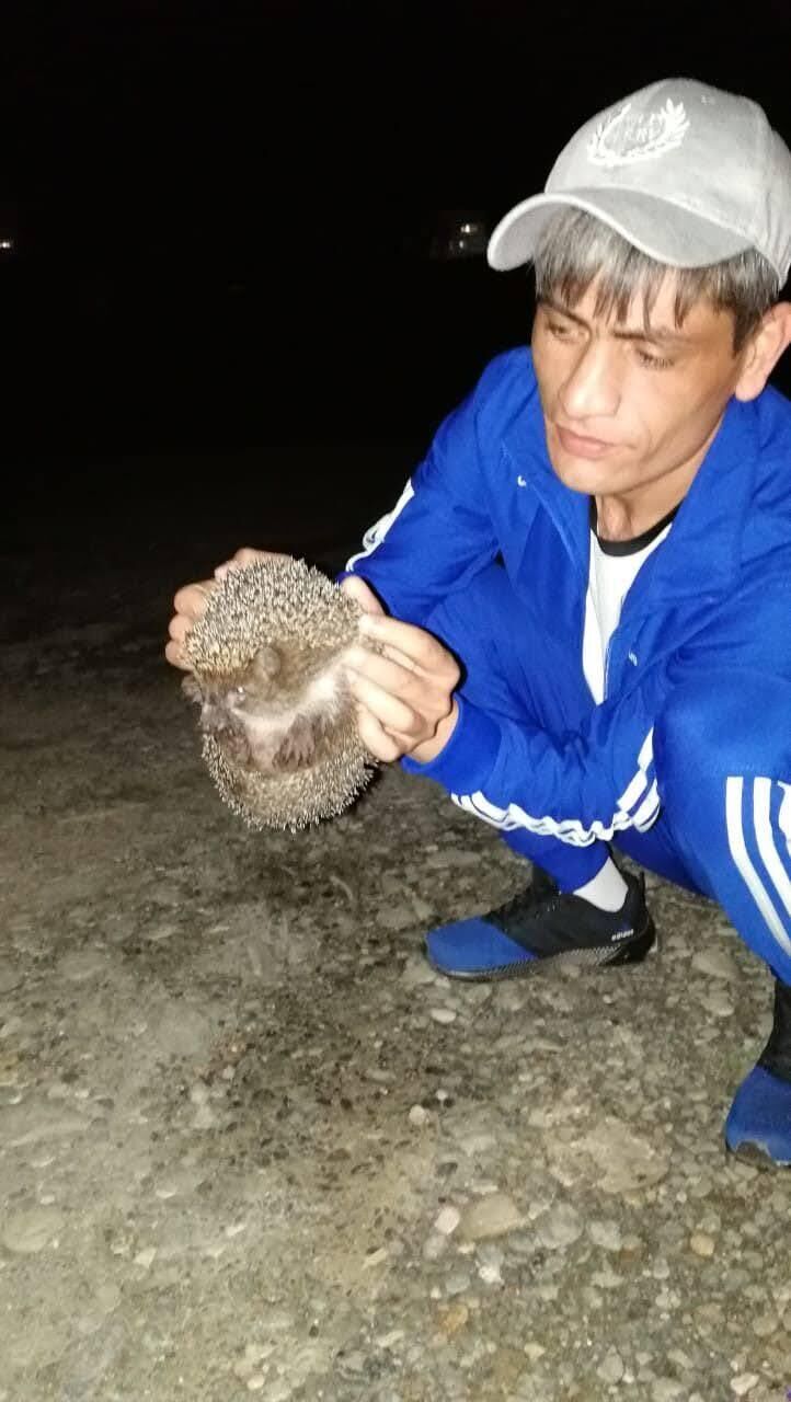  ,       , 43 ,   ,   