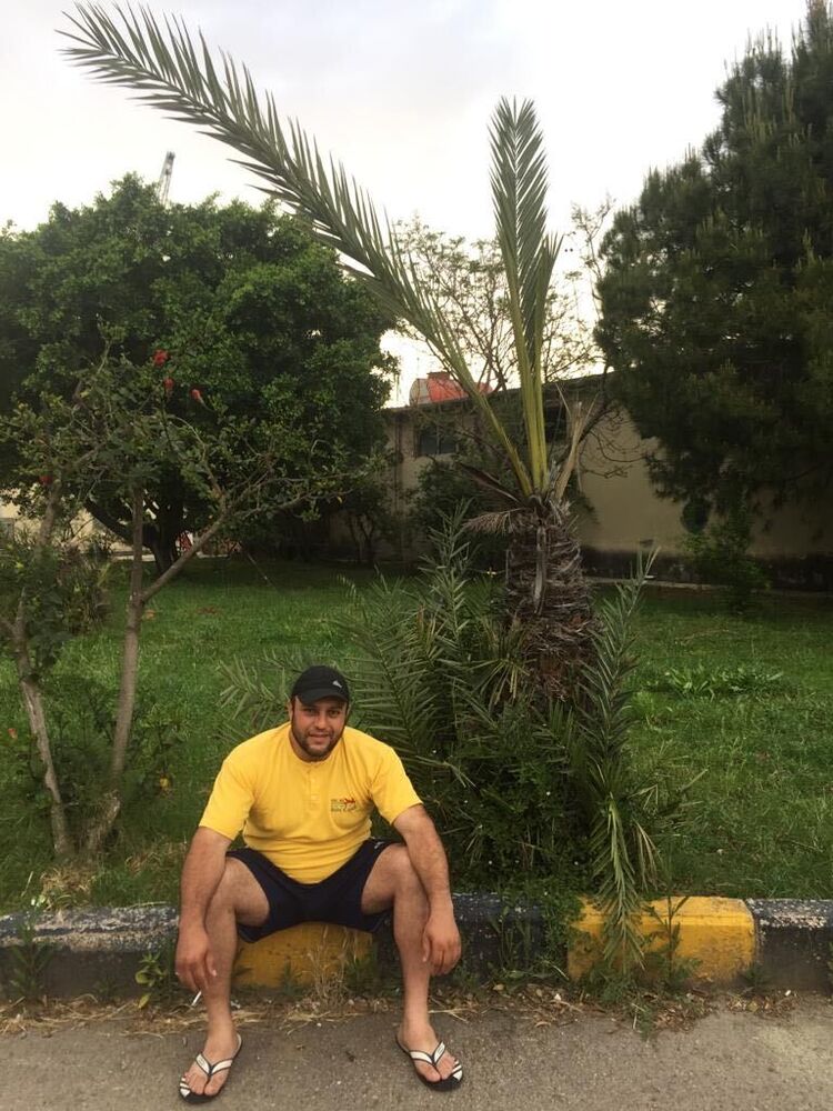  33908779  , 41 ,    