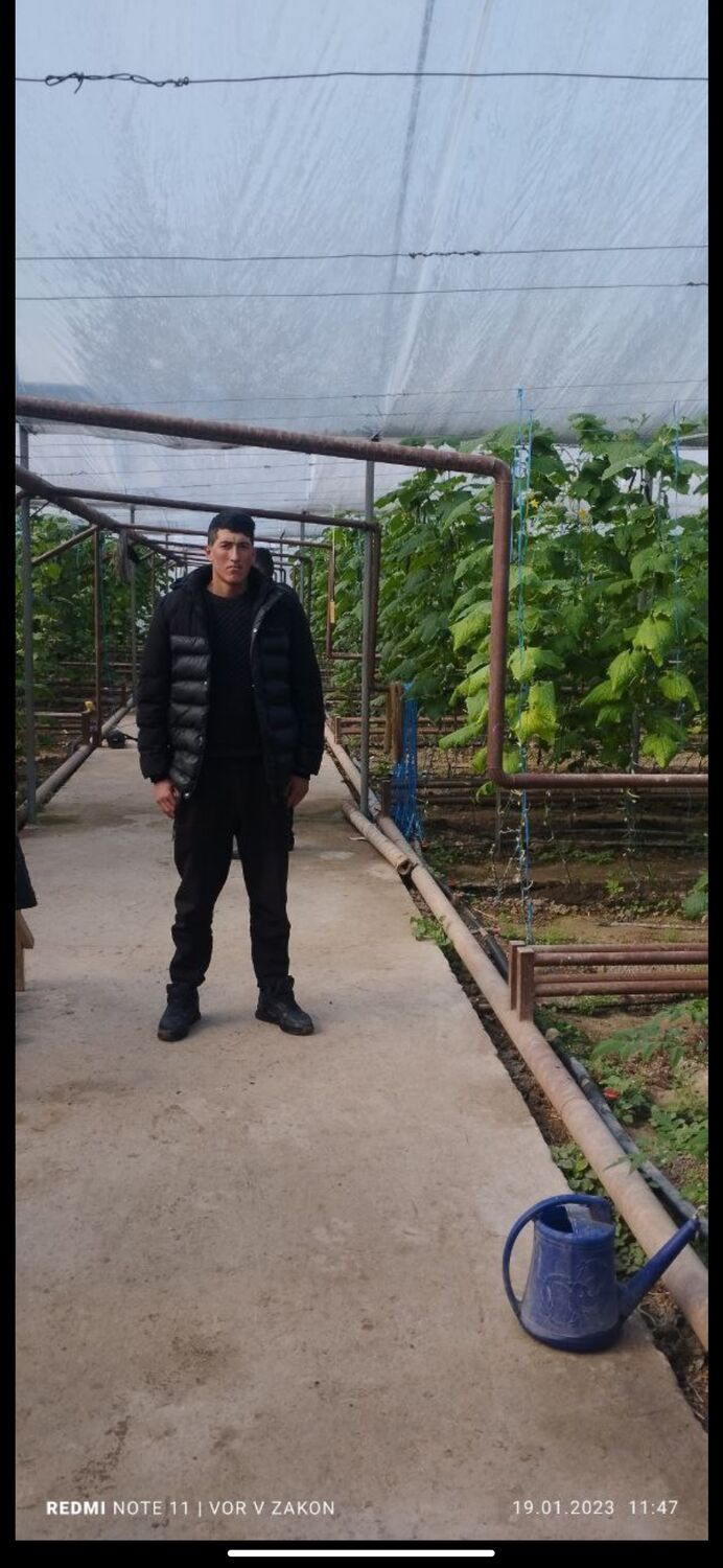  ,   Kodirjon, 24 ,   ,   