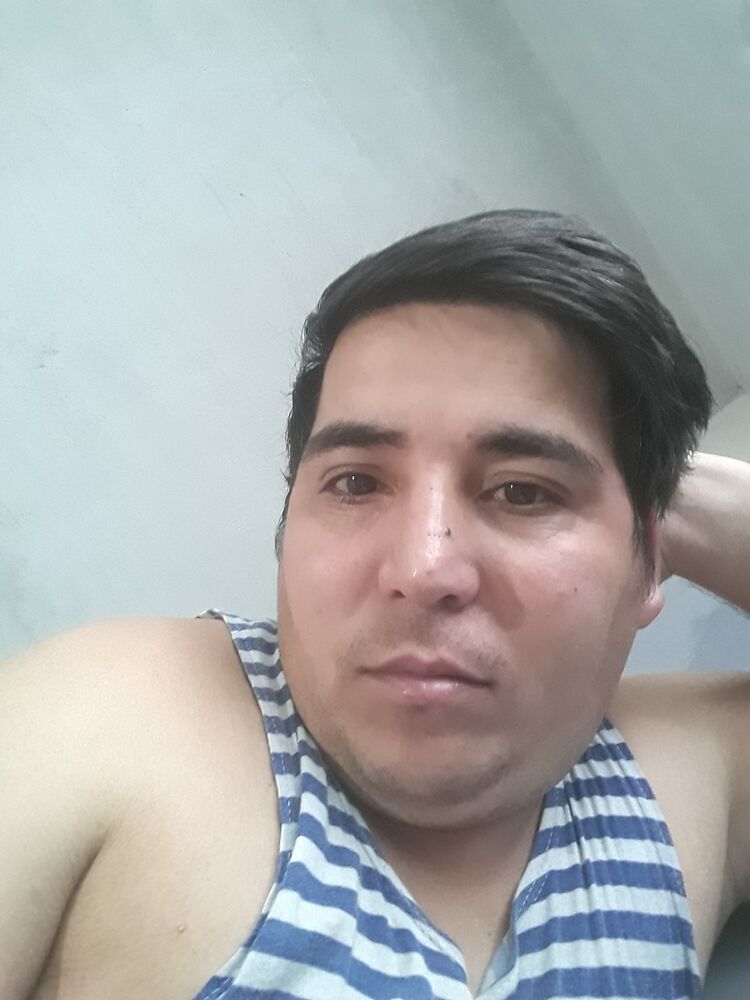  48228639  , 28 ,    