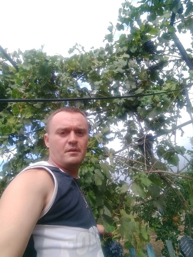  15410819  , 44 ,    