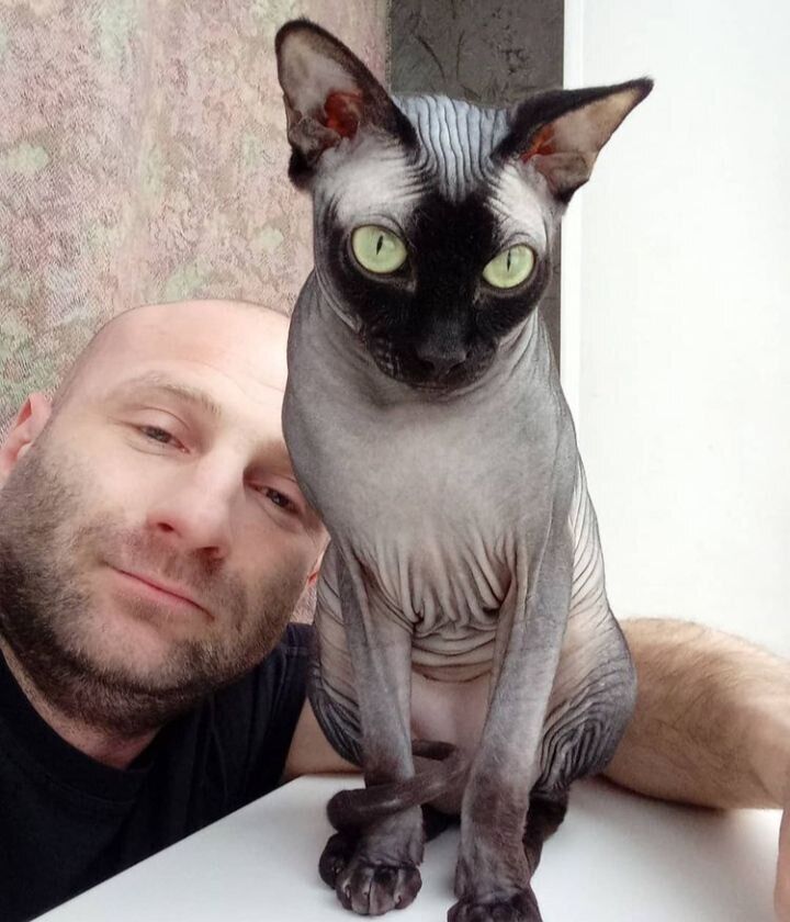  -,   , 40 ,   ,   