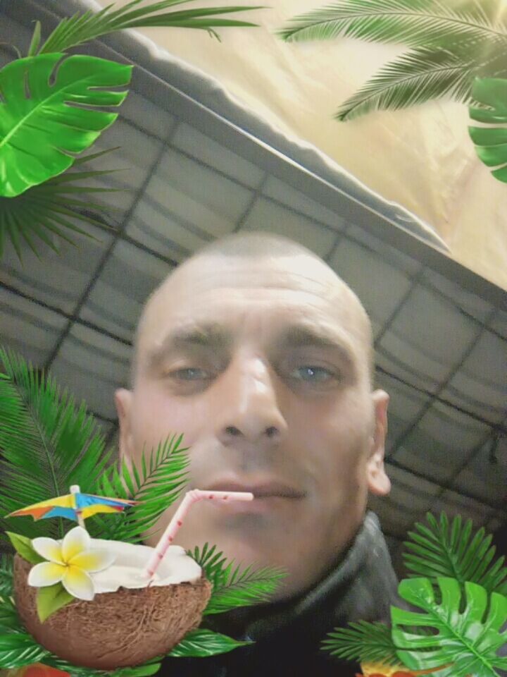 ���� 38733689 ������� �������, 36 ���, ���� ���������� � ������