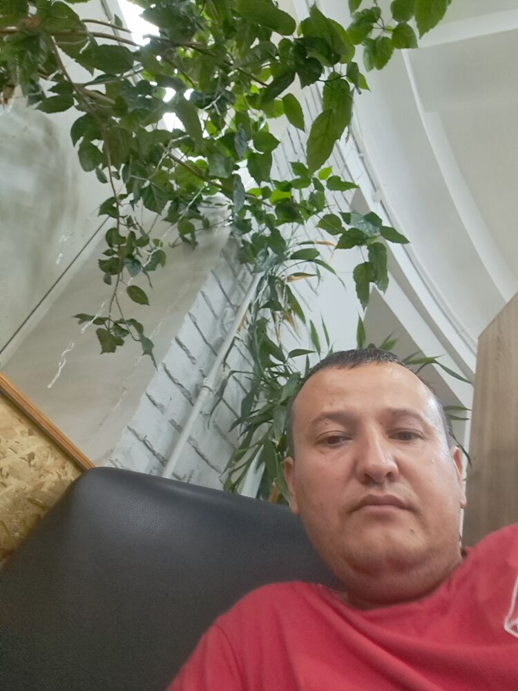  36371669  , 34 ,    