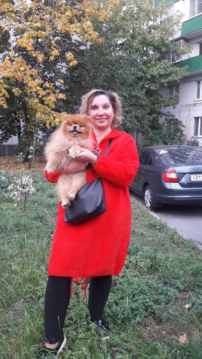 ���������� ����, ���� ������� ��������, 50 ���, ������������ ��� ���������