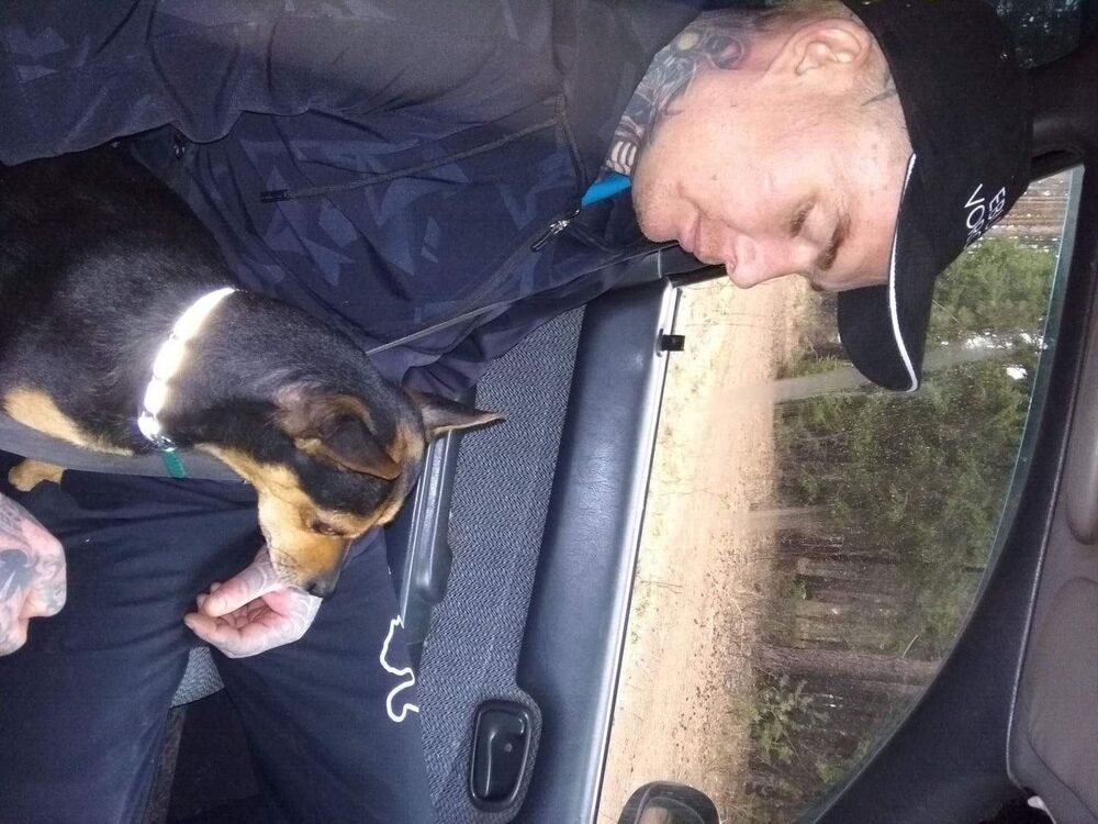 ���� 53659399 ������� Anton, 36 ���, ���� ���������� � �������������