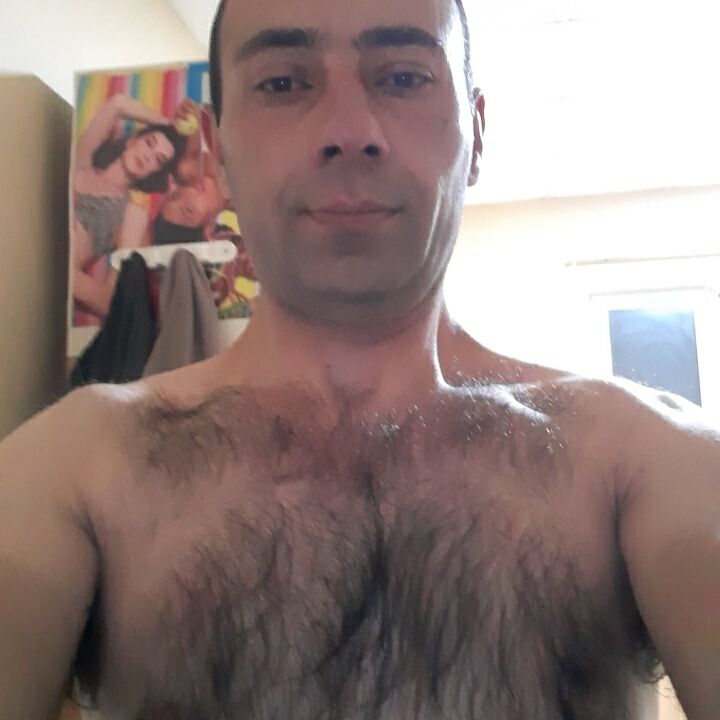  ,   , 41 ,  