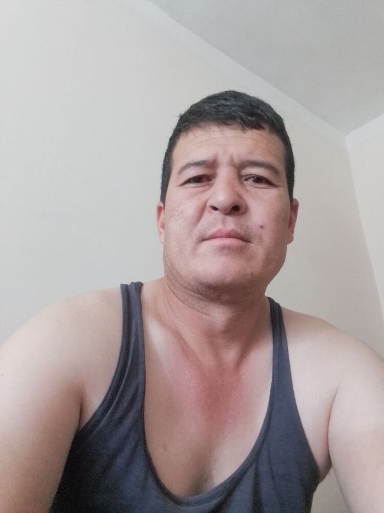  41416019  , 38 ,    