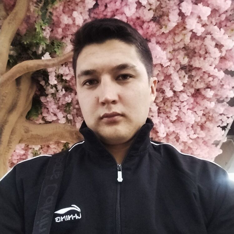 ���� 43511269 ������� �������, 26 ���, ���� ���������� � �������