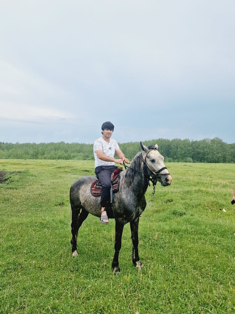 ���������� �����������, ���� ������� Samad, 29 ���, ������������ ��� ������, ����� � ���������, c�������� ���������, ���������