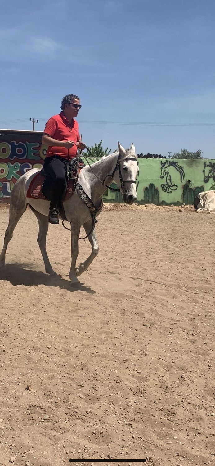  36538089  HAKAN, 45 ,    