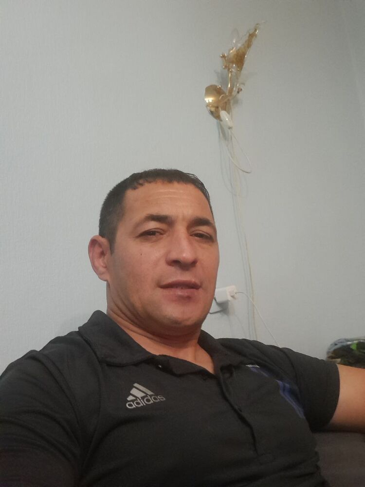  43008899  , 42 ,    