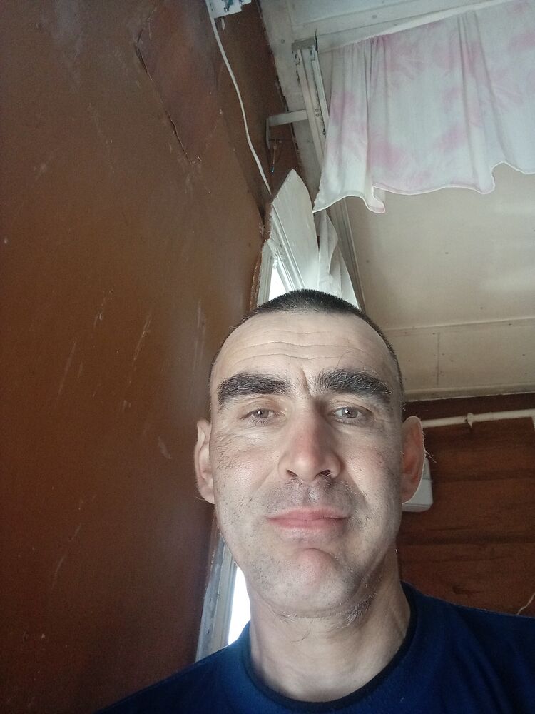  43662559  , 50 ,    