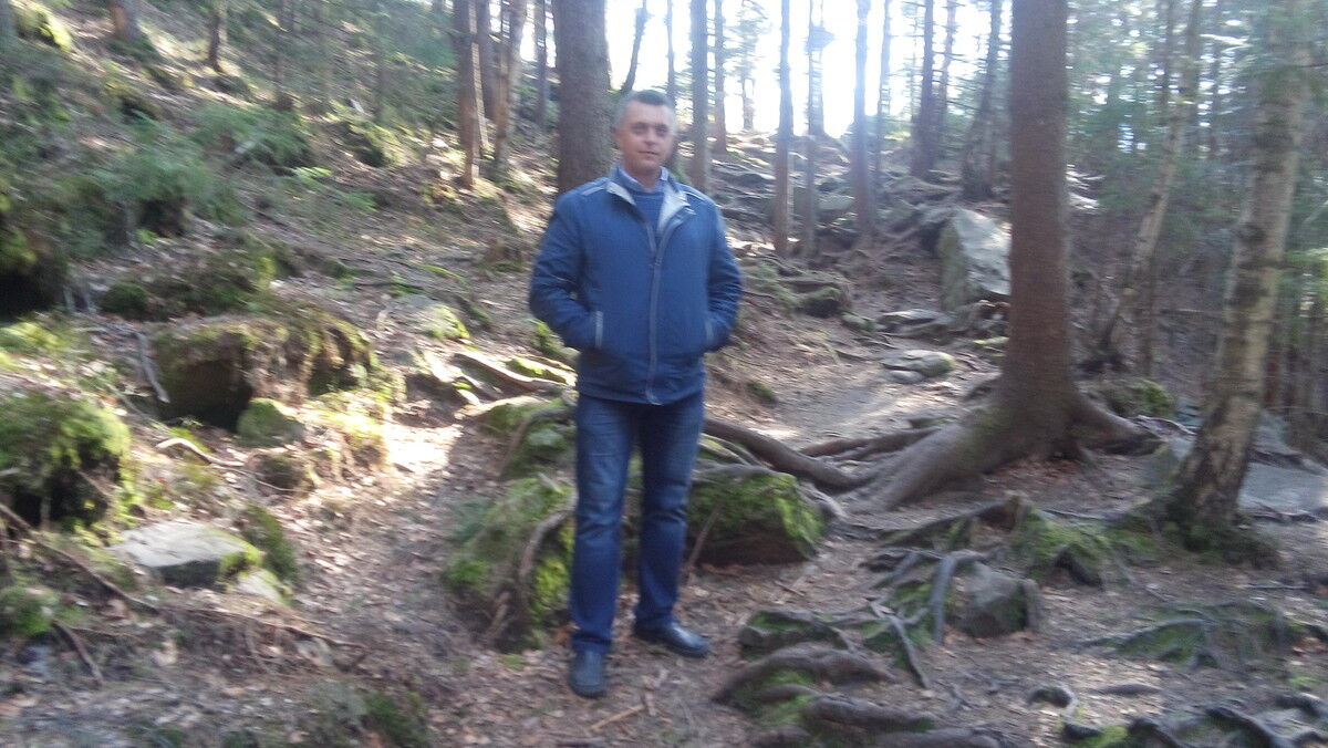  ,   , 53 ,  