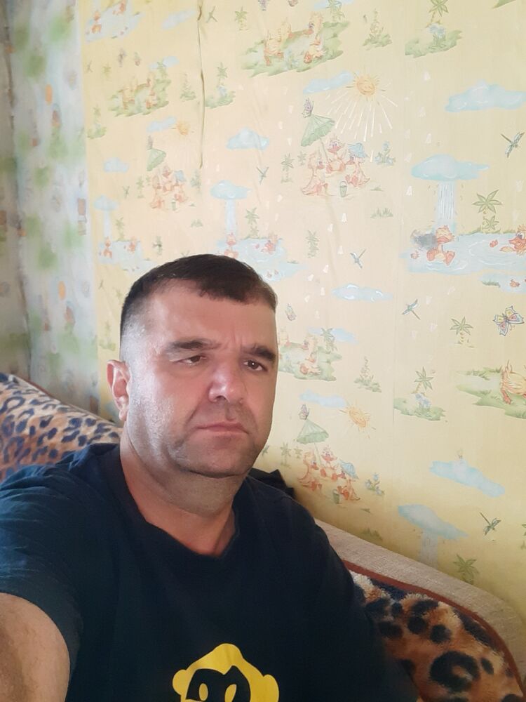  48082789  , 39 ,    -