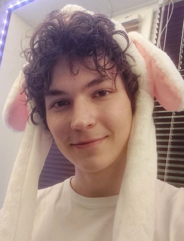 ���� 43064199 ����� ��������, 24 ����, ���� ���������� � �����-����������