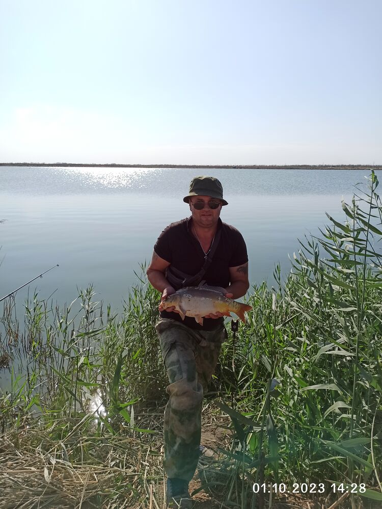 ���� 40845589 ������� �������, 43 ����, ���� ���������� � �����������������