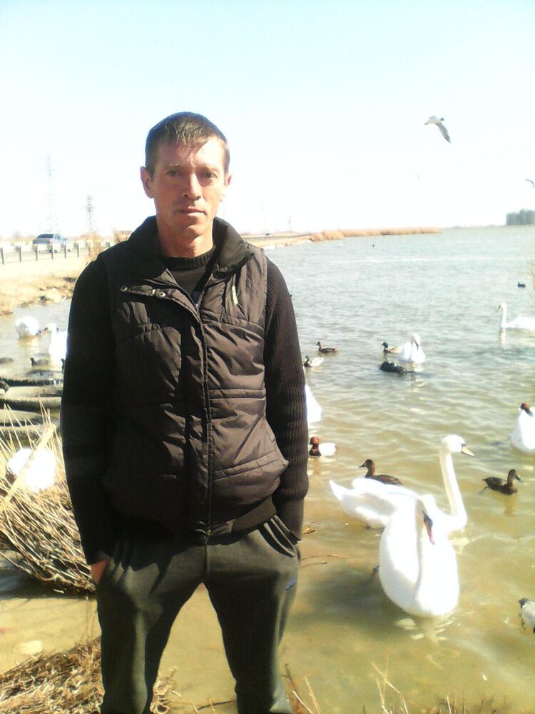 ���� 23141599 ������� �������, 43 ����, ���� ���������� � �����������