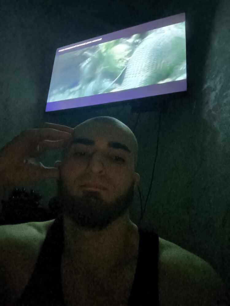 ���� 56339649 ������� ������, 26 ���, ���� ���������� � ���������