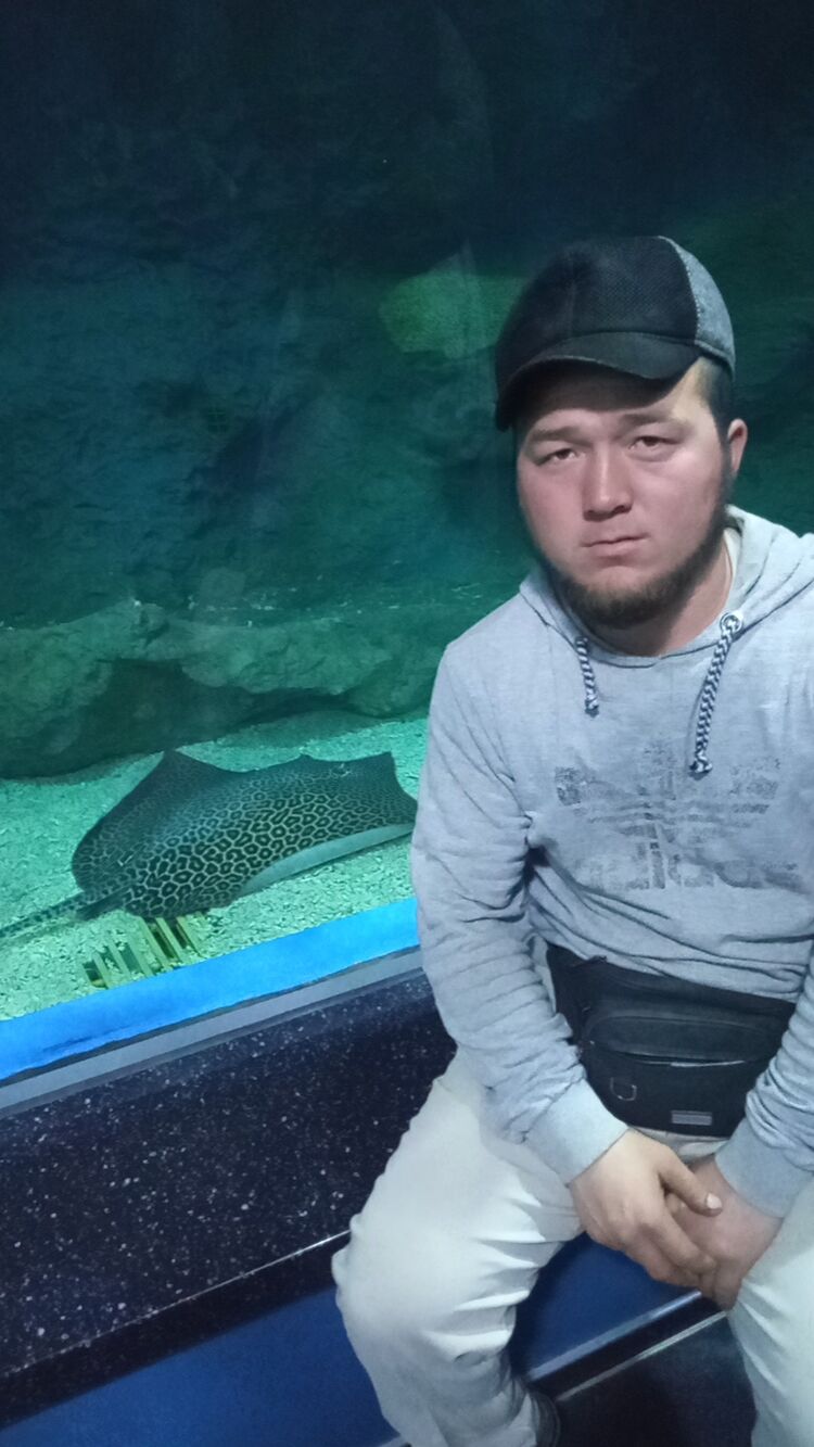 ���������� �����������, ���� ������� ���, 27 ���, ������������ ��� ������, ����� � ���������, c�������� ���������