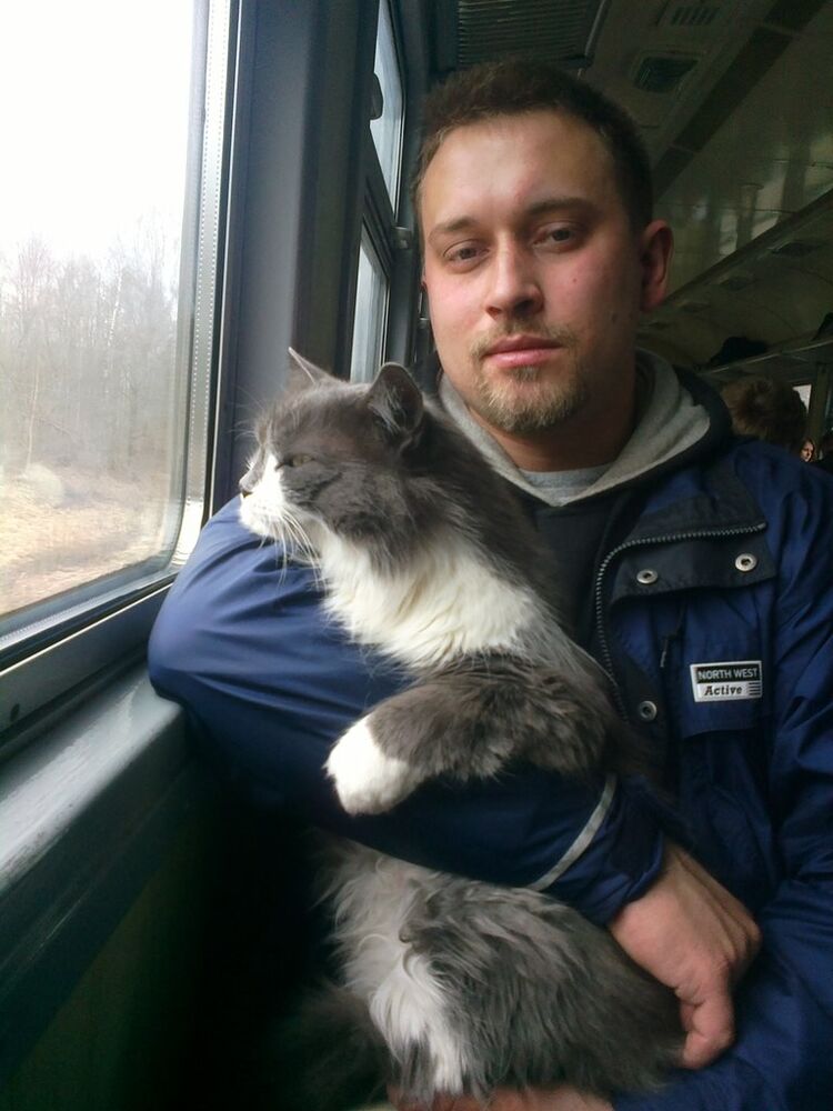 ���� 7615159 ������� �����, 40 ���, ���� ���������� � ��������