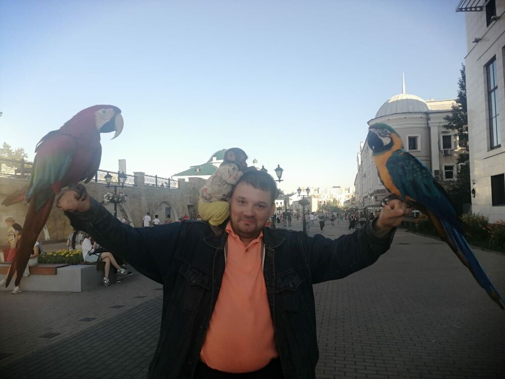 ���������� ���������� �����, ���� ������� �����, 43 ����, ������������ ��� ������, ����� � ���������, c�������� ���������