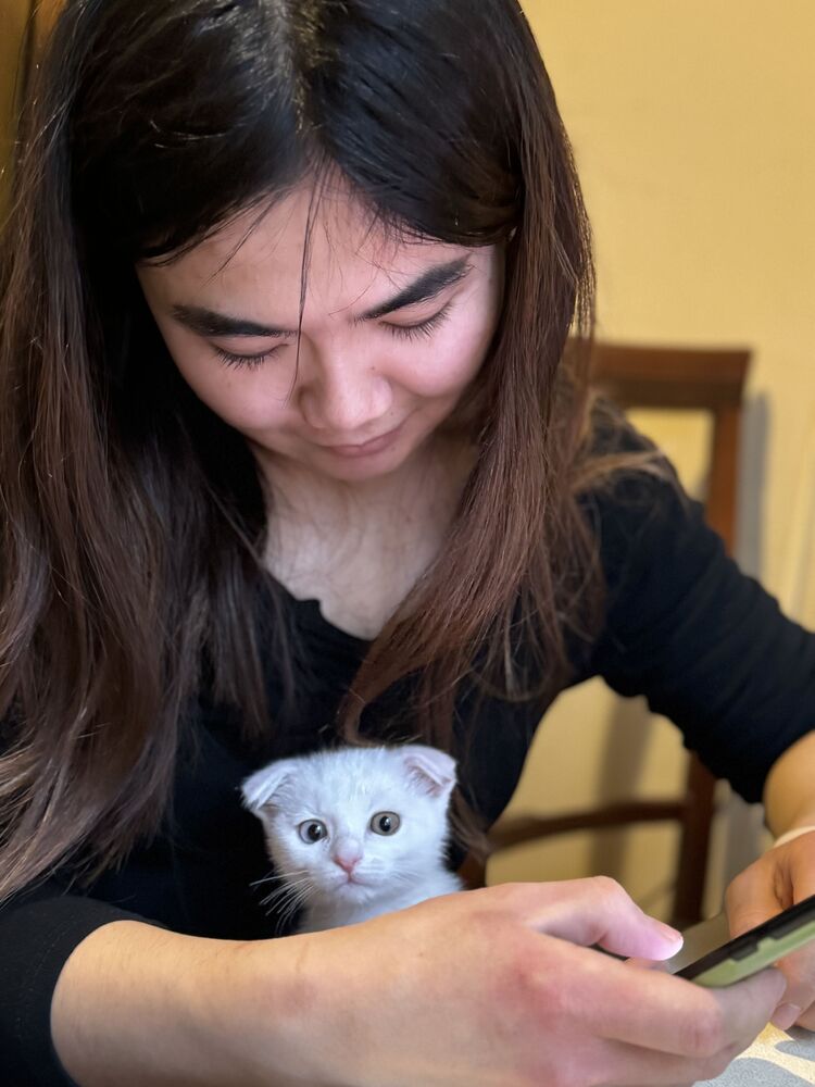 ���������� ������, ���� ������� �������, 26 ���, ������������ ��� c�������� ���������