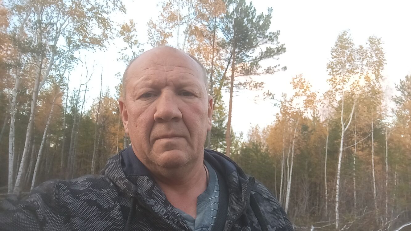  53683269  , 51 ,     