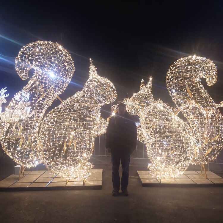 ���������� �����������, ���� ������� ����, 35 ���, ������������ ��� c�������� ���������, ���������